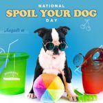 Happy National Spoil Your Dog Day! Love is a four-legged word. Treat your beloved pup to some of their favorite activities today! Is it a spa treatment or doggie play date at Stonehill? Lots of treats? A long walk at the park? We will be spoiling our pups “furry much” today and hope you do too!