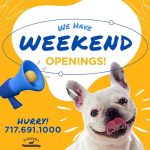 Attention! We have a few openings this weekend for boarding! Please call us at 717-691-1000 to book your dog's stay!