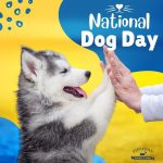 Happy National Dog Day! Our Stonehill team is “mutts about our pups!” Raise your paws if you love this holiday!