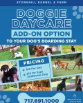 📣ATTENTION Friends, Family, and Stonehill Supporters! We are now offering a Doggie Daycare ADD-ON option to all our boarding pups! Give your dog extra playtime with their furry friends by adding this option to your boarding stay! 🐾 Our Daycare Program is Monday-Friday, 7am to 7pm. Call today!