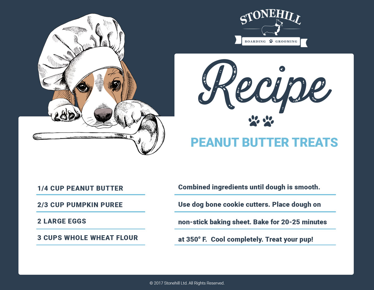 stonehill dog treat recipe