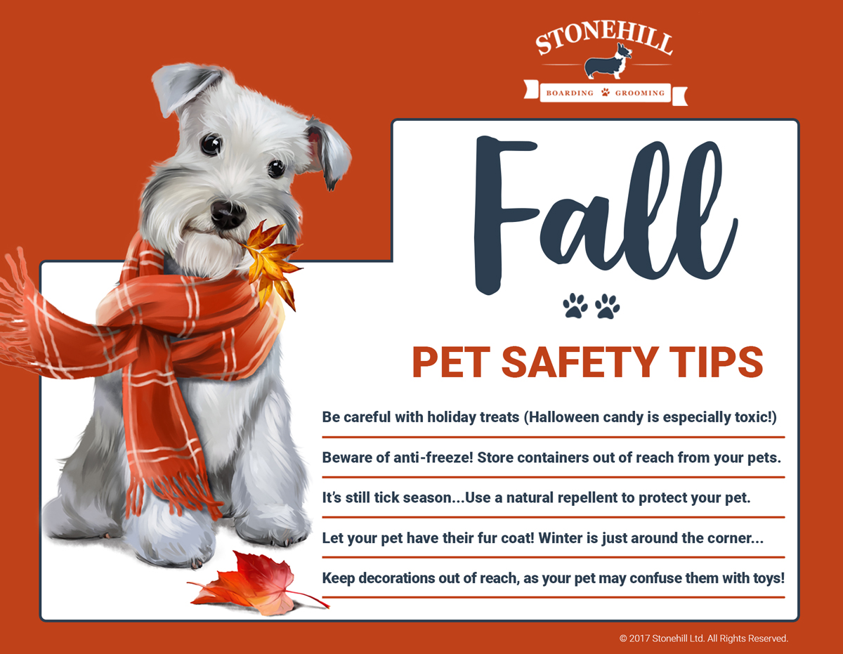 fall pet safety tips