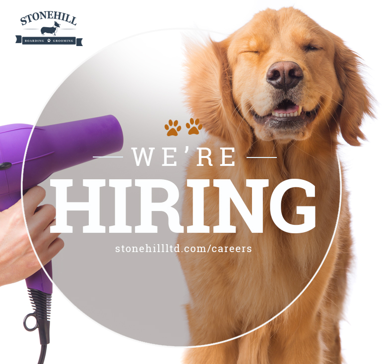 Careers Stonehill Kennel Farm Enola PA