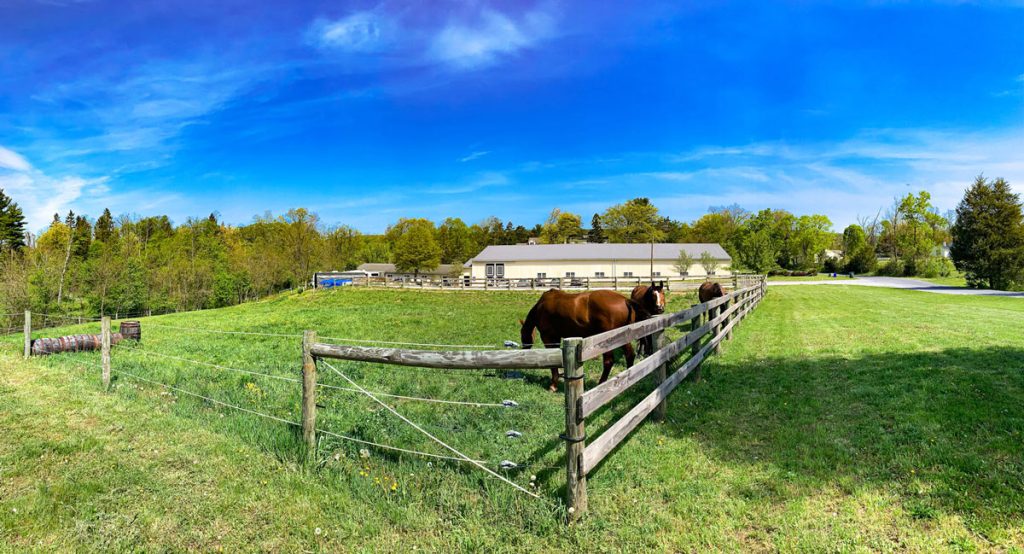 Stonehill Kennel and Farm Horse Facilities