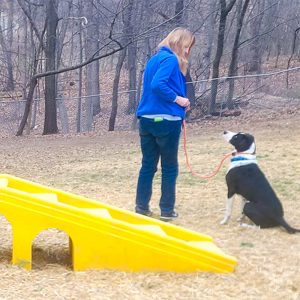 Stonehill Kennel and Farm Private Lessons with Katrina