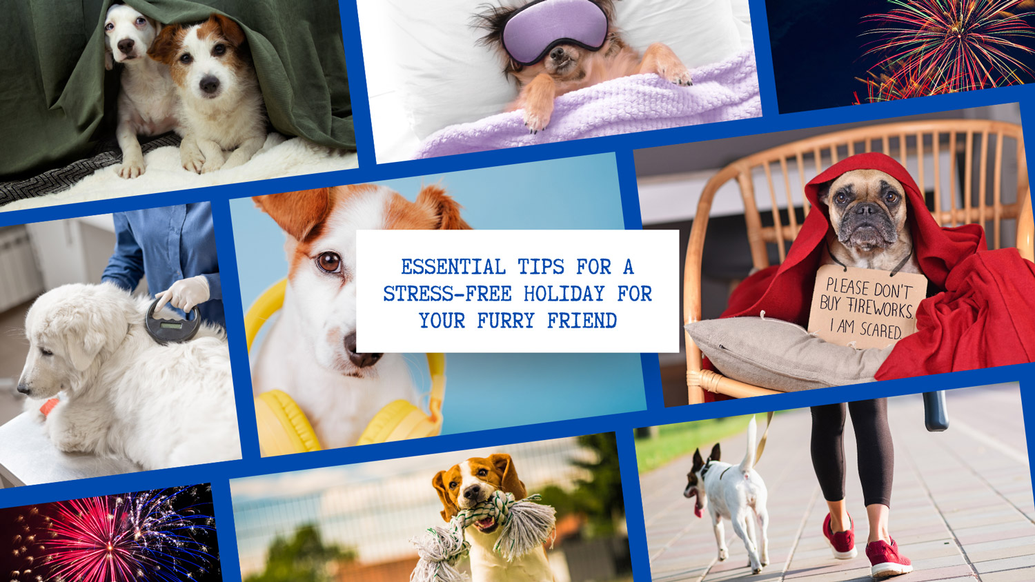 Essential Tips for a Stress-Free Holiday for Your Furry Friend