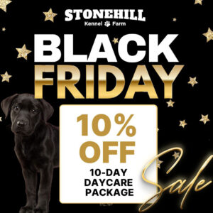 10-Day Full-Day Daycare Package Black Friday Sale