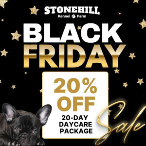 20-Day Full-Day Daycare Package Black Friday Sale