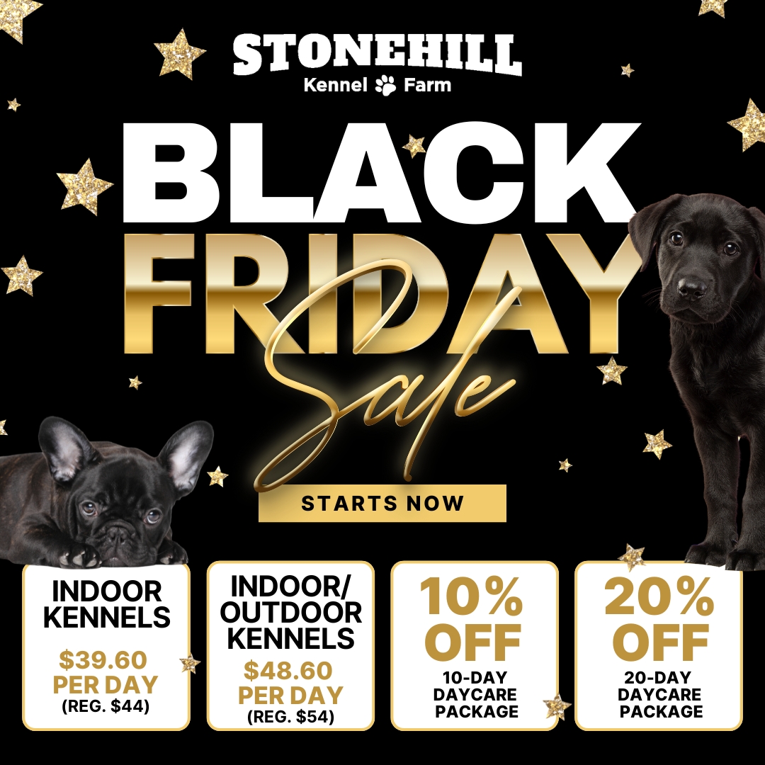 Stonehill Black Friday Sale