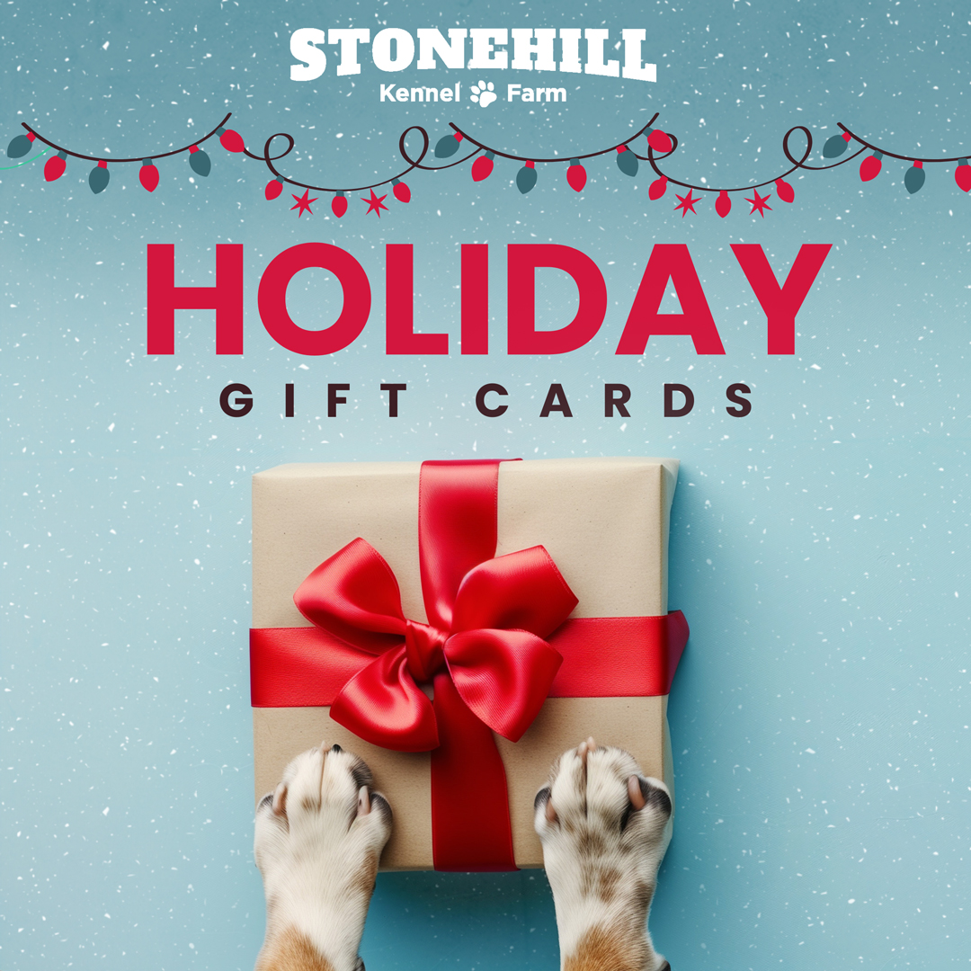 Stonehill Holiday Gift Card