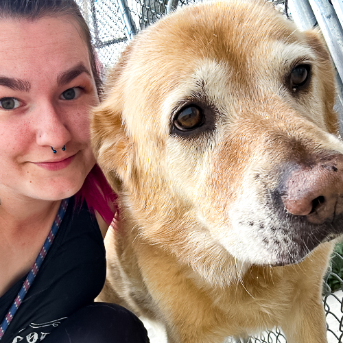 Team 3 Jessica, Stonehill Kennel Manager