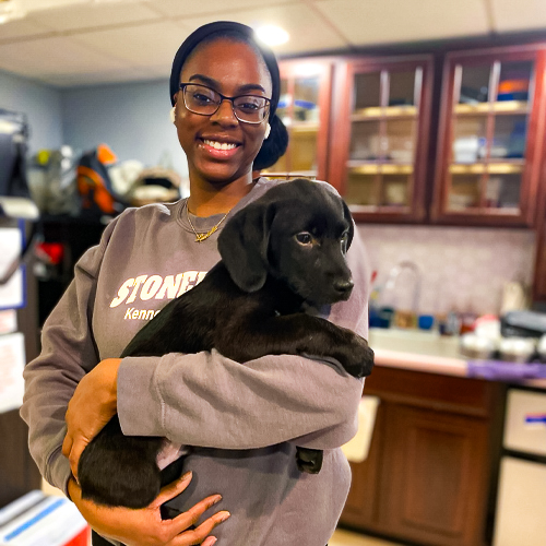 Team 6 Tijanay (Taj), Stonehill Groomers and Kennel Lead