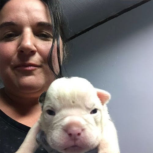 Team 11 Kate, Kennel Assistant